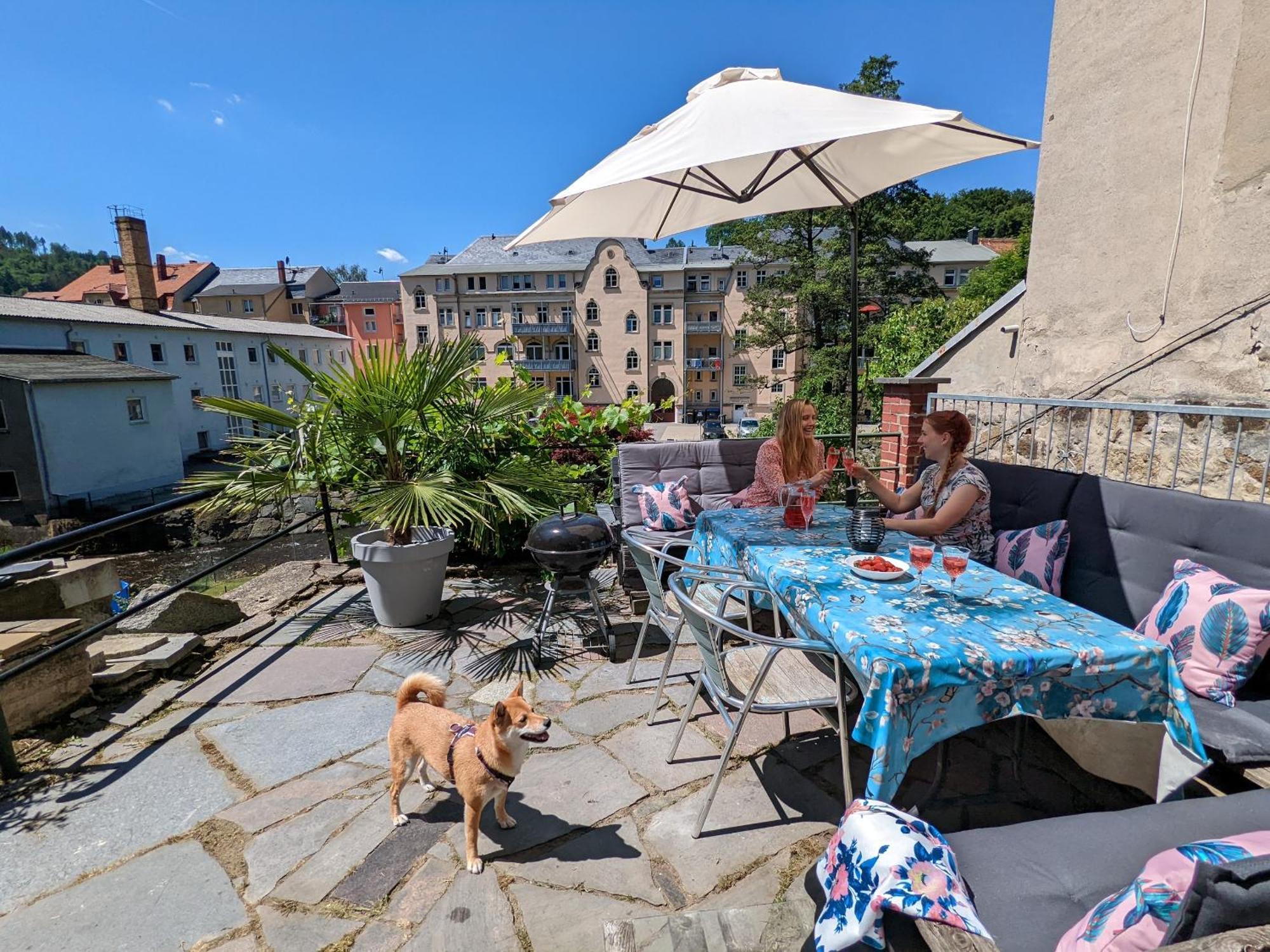 Hw4b - Urlaubsmagie - Zentral Mit Gemeinschaftsgarten, -pool, -sauna & Whirlpool * Sebnitz