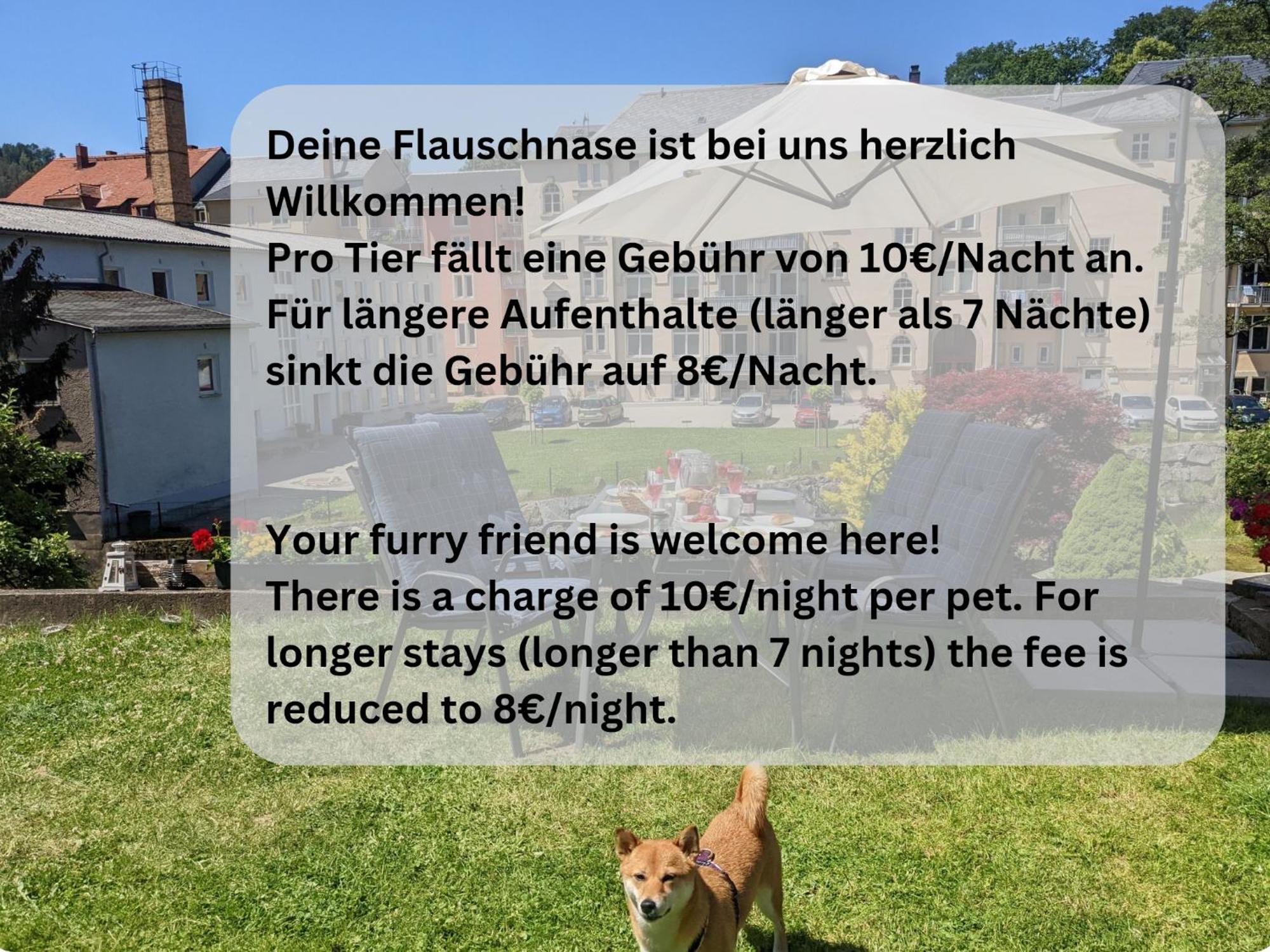 Hw4b - Urlaubsmagie - Zentral Mit Gemeinschaftsgarten, -pool, -sauna & Whirlpool Sebnitz